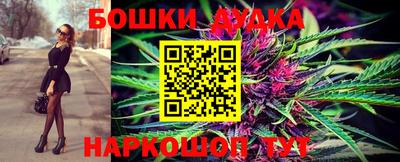 крисы Ирбит