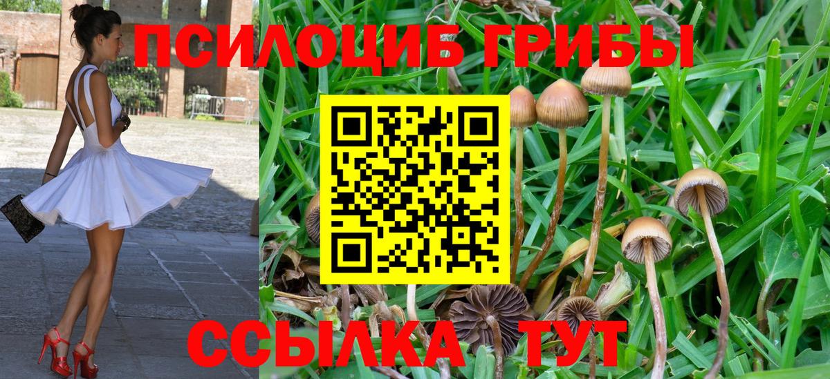 Псилоцибиновые грибы мухоморы Майский