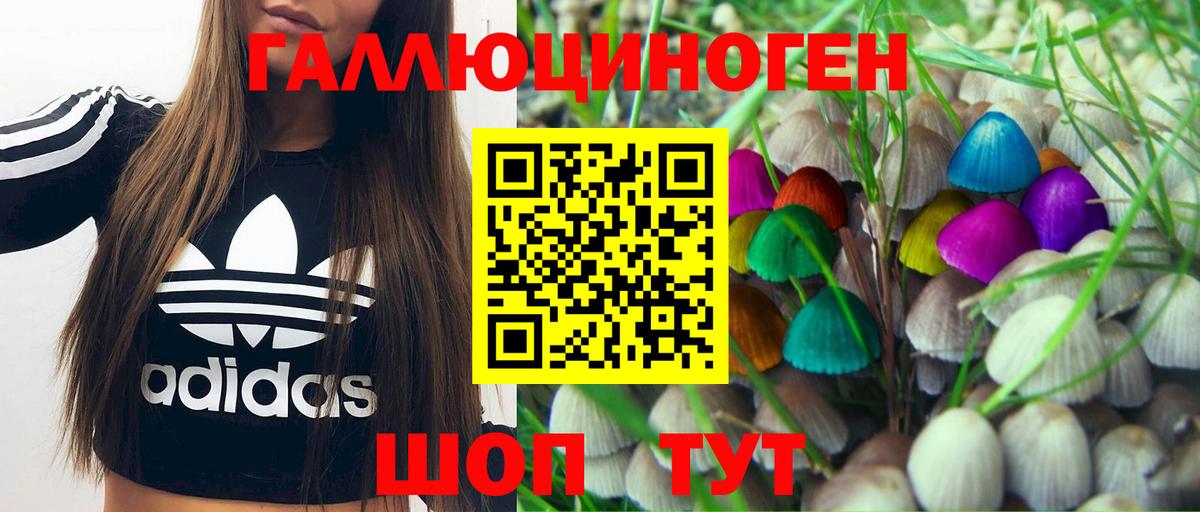 Псилоцибиновые грибы Psilocybine cubensis  Вход с VPN  Майский 